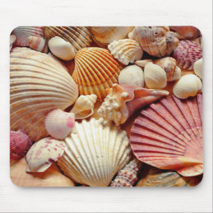 Samling av Seashells Scallops Clams och Conch Musmatta