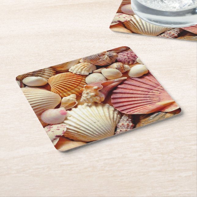 Samling av Seashells Scallops Clams och Conch Underlägg Papper Kvadrat (Vinklad)