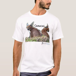 Samling för Caracal ~-Zoo Tee