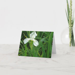 Samling för notecard för New England vitIris blom- Kort