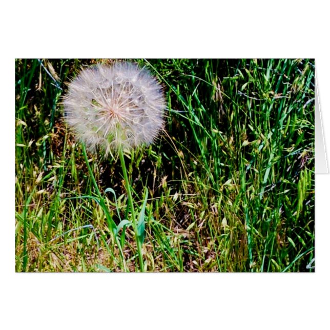 Samling "Gör en önskning" Hälsningskort (Framsidan Horizontal)