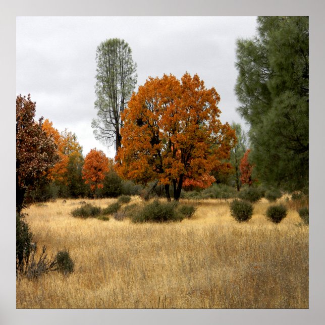 Samlingen... Poster (Framsidan)