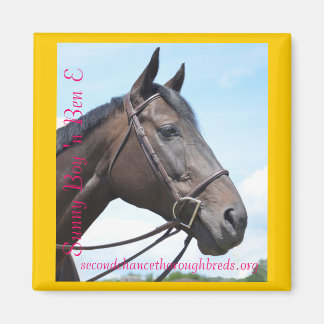 Samlingsbar Magnet-serie - Sunny Boy 'n Ben E Magnet