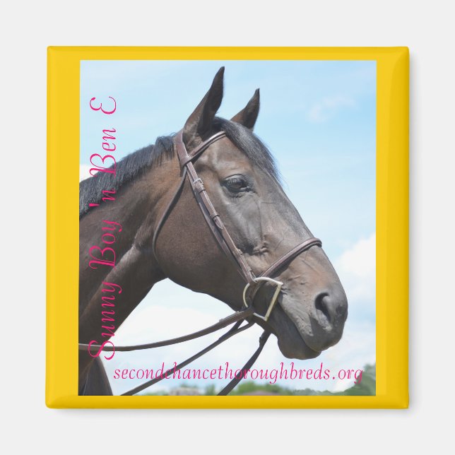 Samlingsbar Magnet-serie - Sunny Boy 'n Ben E Magnet (Framsidan)