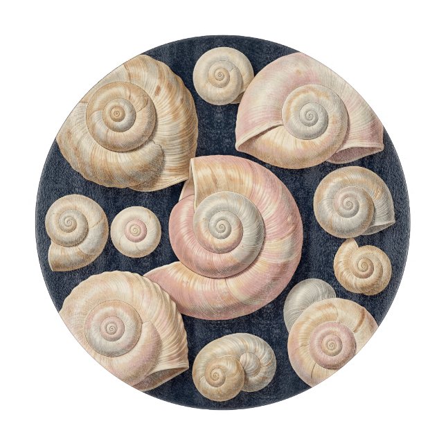 Samlingsplats för spiralformade havssnäckor i beig (Framsidan)