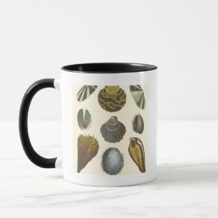 Samlingssamling Mugg