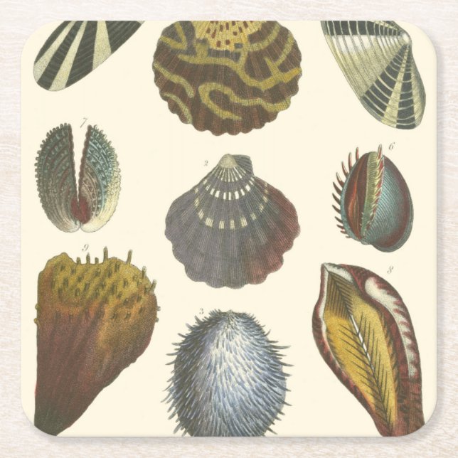 Samlingssamling Underlägg Papper Kvadrat (Framsidan)