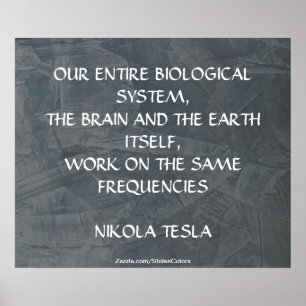 SAMMA FREKVENSER - NIKOLA TESLA POSTER