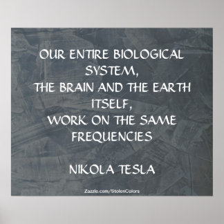 SAMMA FREKVENSER - NIKOLA TESLA POSTER