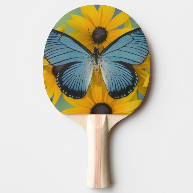 Sammamish Washington Photograph of Butterfly Pingisracket (Framsidan)