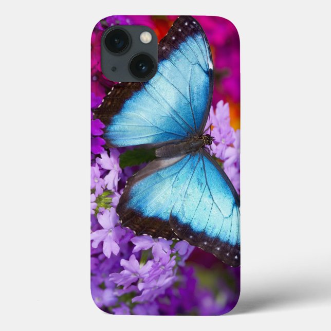 Sammamish Washington Tropical Butterfly (Baksida)