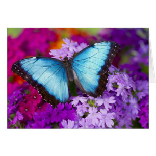Sammamish Washington Tropical Butterfly Hälsningskort