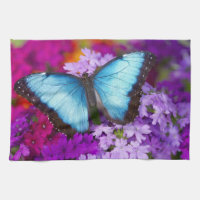 Sammamish Washington Tropical Butterfly