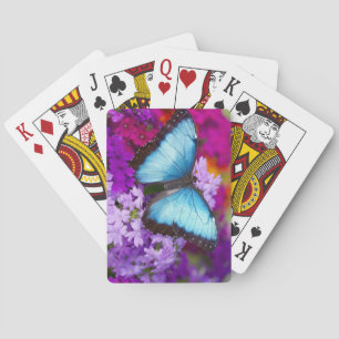 Sammamish Washington Tropical Butterfly Kortlek