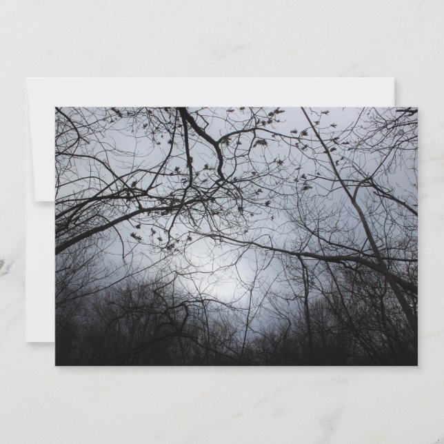 Sammanflätad (Framsida)