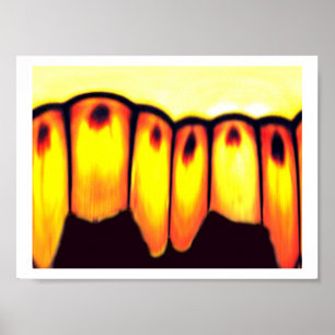 sammankomsten poster