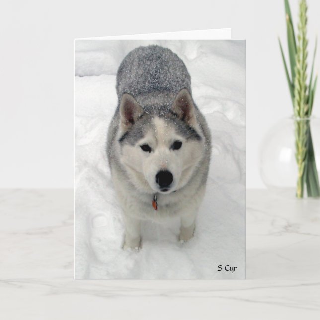 Sammanlagd tillbedjan, S Cyr Kort (Framsida)