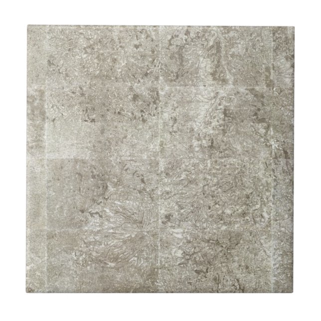 Sammansatt karta av frankriken 9 kakelplatta (Framsidan)