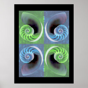 Sammansatt Nautilus Poster