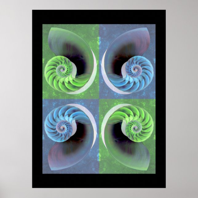 Sammansatt Nautilus Poster (Framsidan)