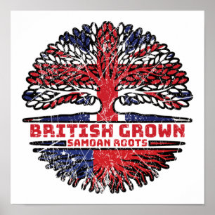 Samoa Samoan Storbritannien Brittisk Träd Rötter Poster