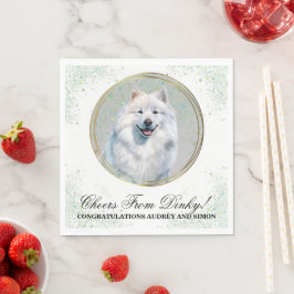 Samojed Bröllop Servetter Med Hund Foto