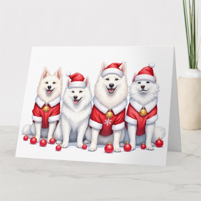 Samojed julklänning tomtehatt kort (Framsida)