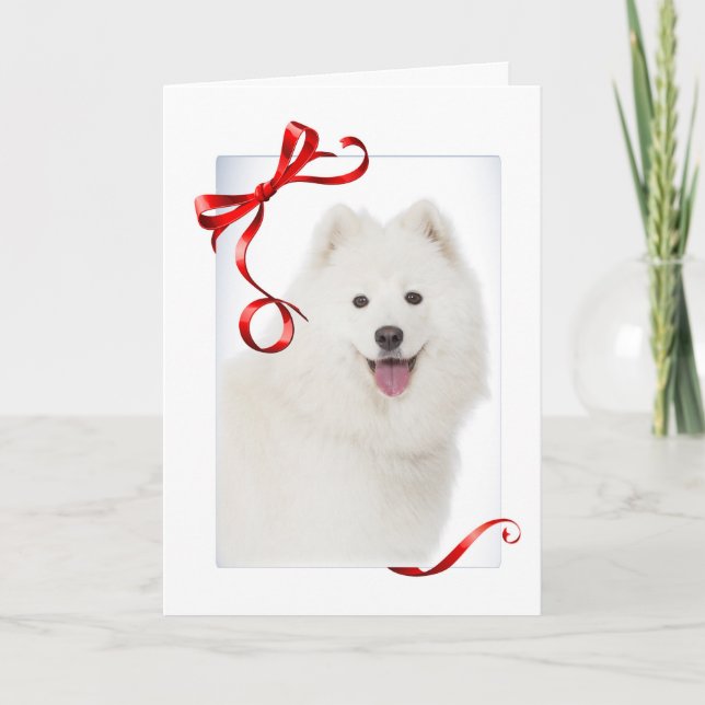 Samojed julkort helgkort (Framsida)