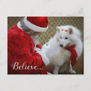 Samojed och tomte julkort meddelande vykort
