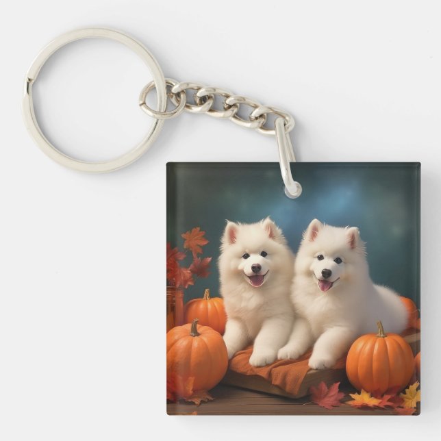 Samojed Valp Höstglädje Pumpa (Framsidan)