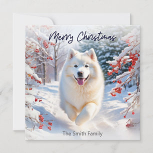 Samojedhund i snö God Jul Högtidskort Julkort