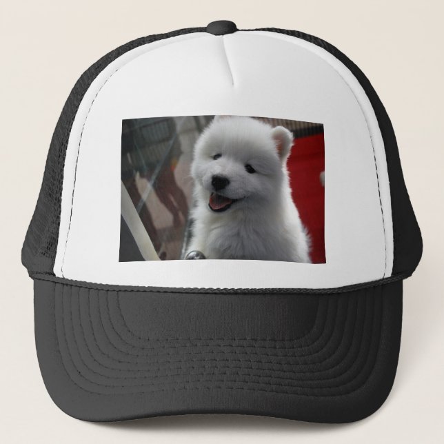 Samojedhund Keps (Framsida)