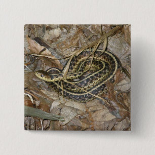 Samordningsobjekt för Garter Snake-koordinering fö Knapp