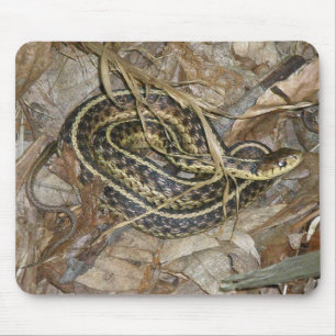 Samordningsobjekt för Garter Snake-koordinering fö Musmatta