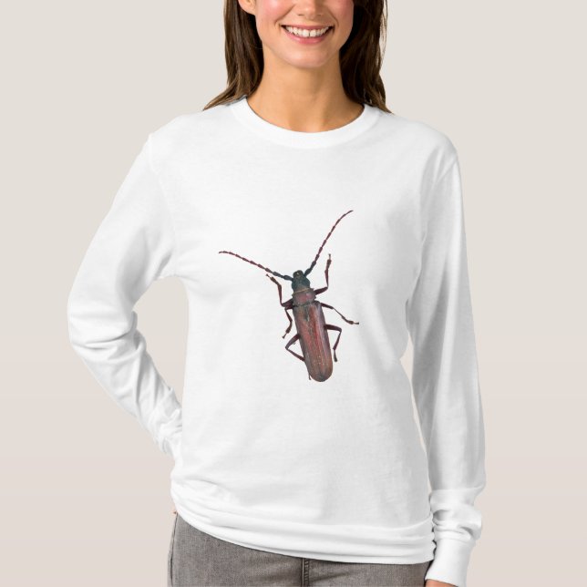 Samordningsobjekt för Longhorn Beetle Tee (Framsida)