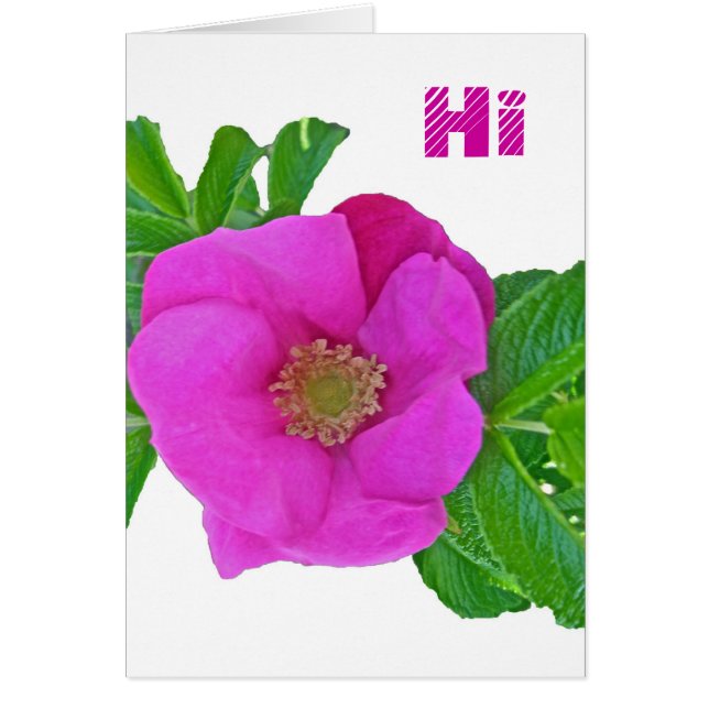 Samordningsobjekt för Shock rosa Beach Ro Hälsningskort (Framsidan)