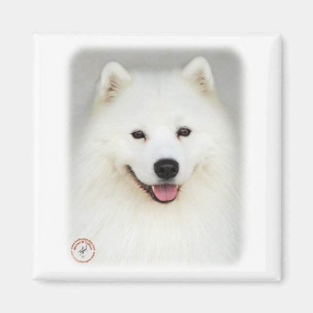 Samoyed 9Y566D-019 Magnet (Framsidan)