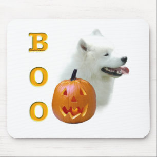 Samoyed Boo Musmatta