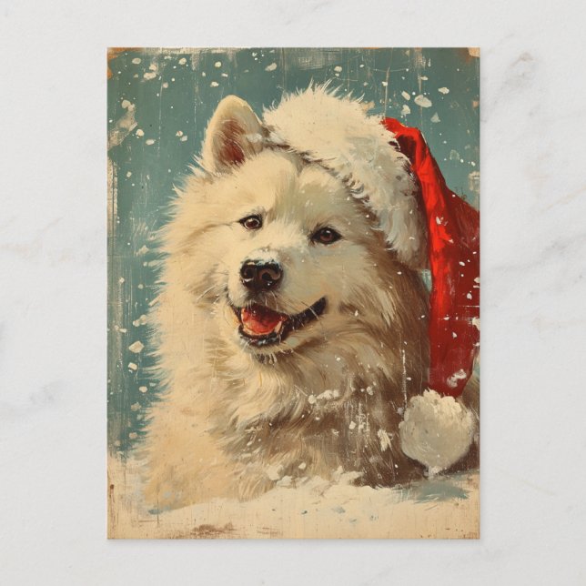 Samoyed christmas vykort (Framsida)
