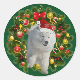 Samoyed Classic Round Sticker, Glossy Runt Klistermärke