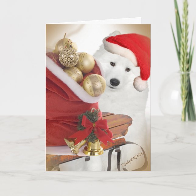 Samoyed Friends Sleding Cards Helgkort (Framsida)