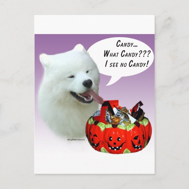 Samoyed Halloween Candy Vykort (Framsida)