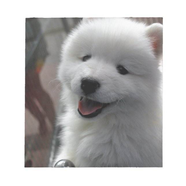 Samoyed Hund Anteckningsblock (Framsida)