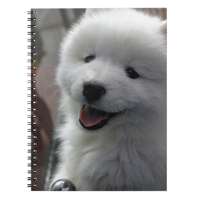 Samoyed Hund Anteckningsbok (Framsidan)
