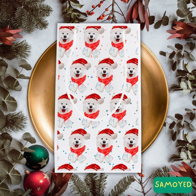 Samoyed Hund aveln julstjärnor (Skapare uppladdad)