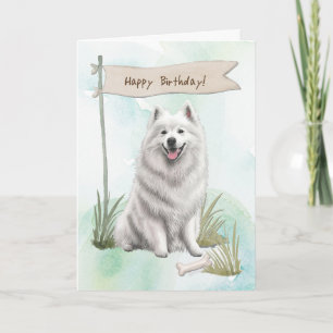 Samoyed Hund aveln utomhus under födelsedagstecken Kort