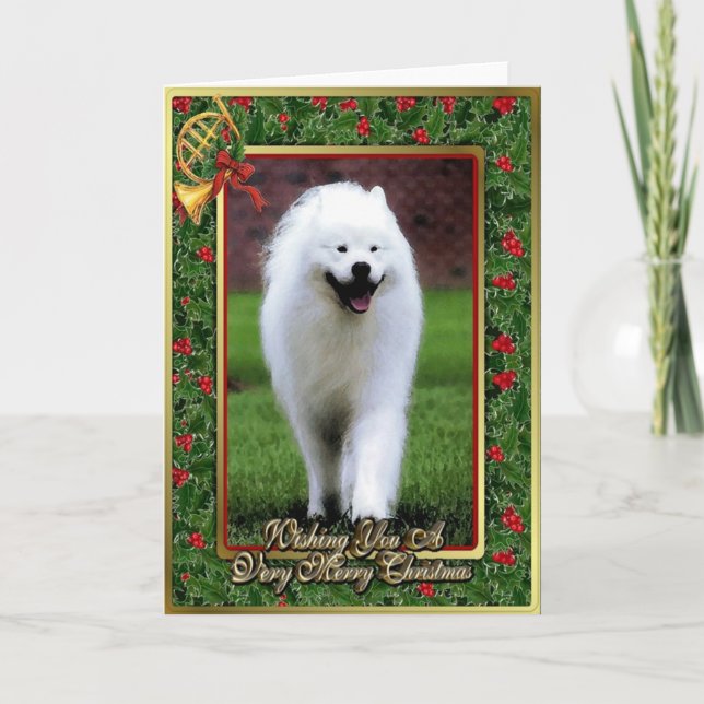 Samoyed Hund Blank julkort Helgkort (Framsida)