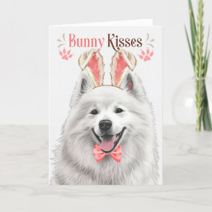 Samoyed Hund i kaninöron för påsk Helgkort