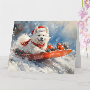 Samoyed Hund i Släd Låt det Snöa Jul Kort
