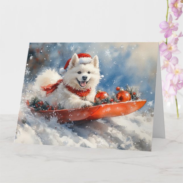 Samoyed Hund i Släd Låt det Snöa Jul Kort (Orkide)